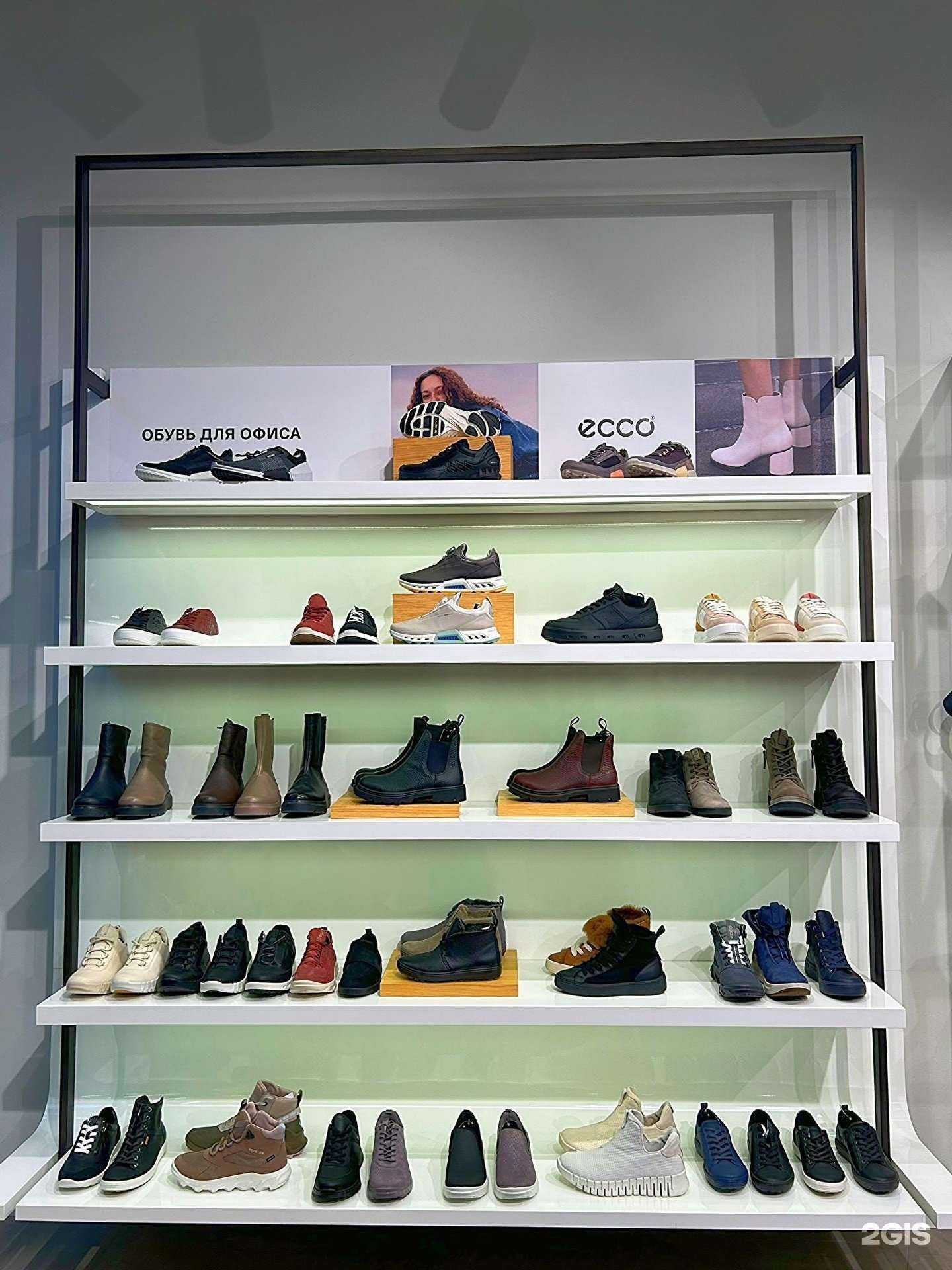 Отзывы на компанию Ecco в г. Пятигорск c фото