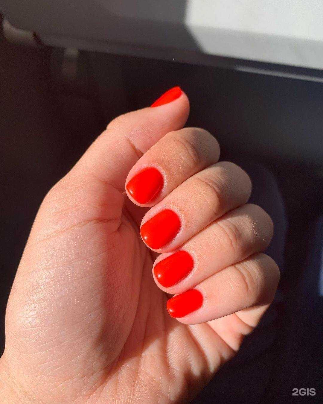 Отзывы на компанию Стрижка в Красноярске c фото