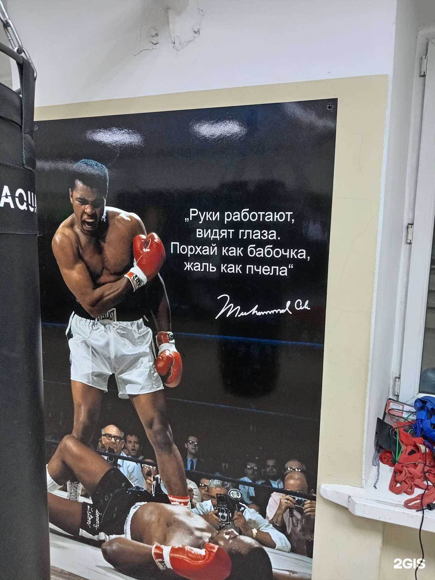 Отзывы на компанию Хабаровский городской центр развития бокса в Хабаровске c фото