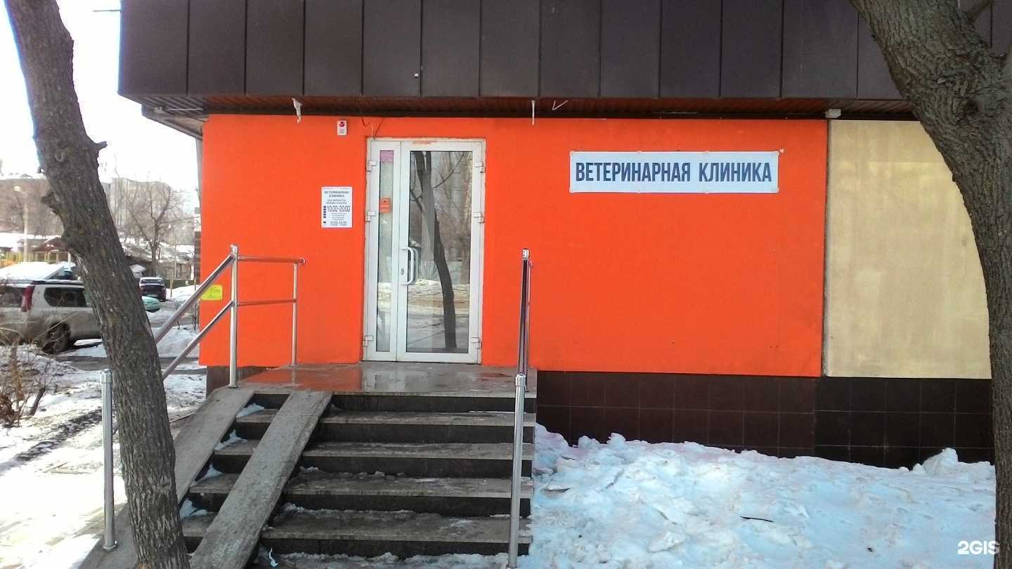 Отзывы на компанию Ветеринарная клиника в г. Уфа c фото