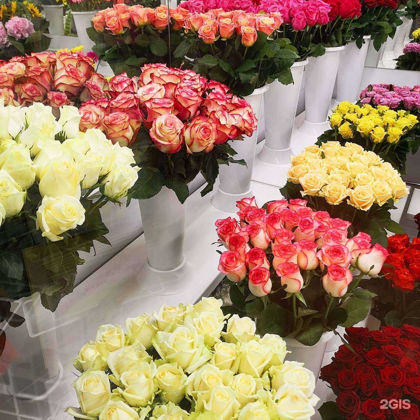 Отзывы на компанию Цветторг48 в Липецке c фото