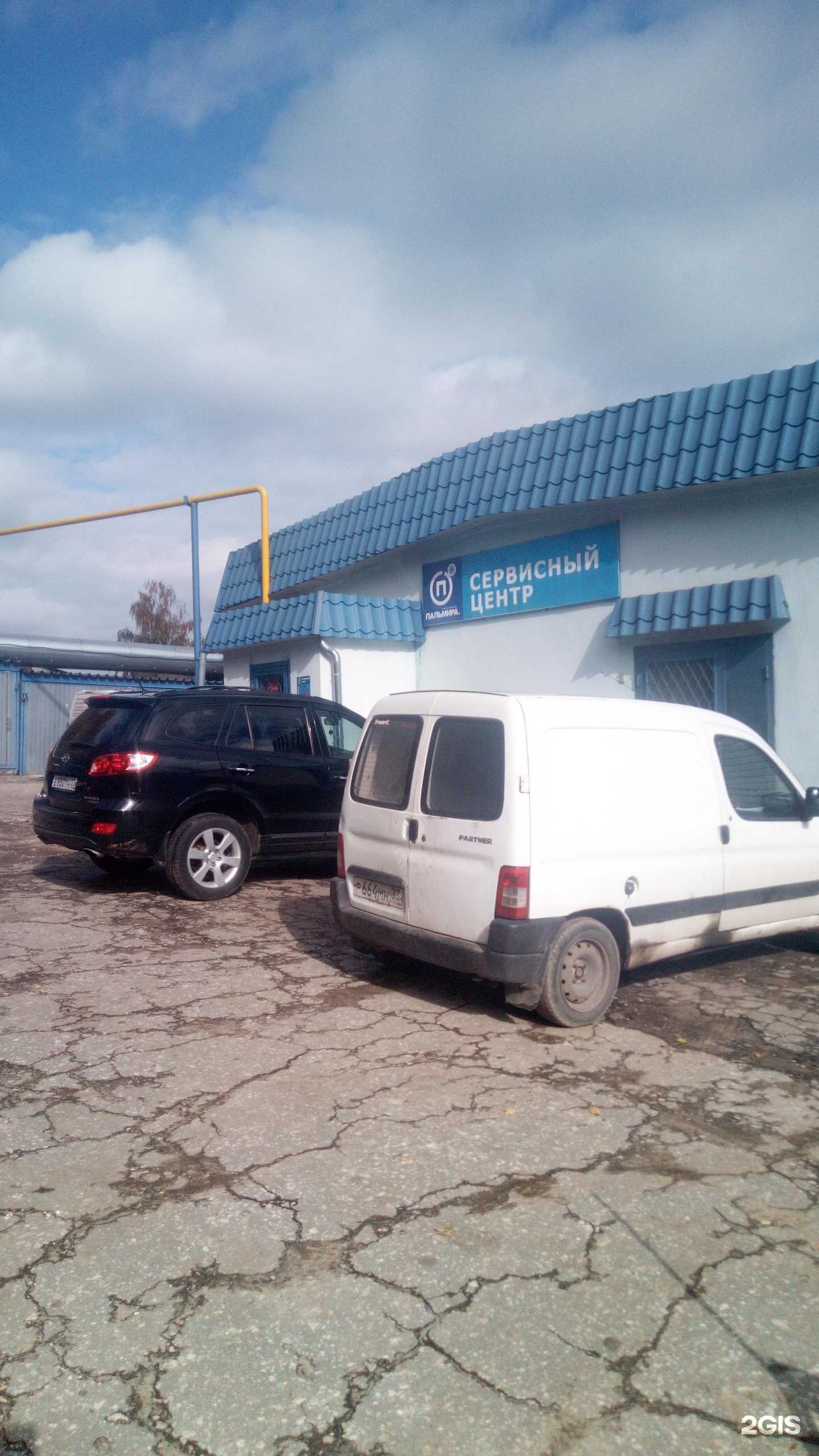 Отзывы на компанию Пальмира в Владимире c фото