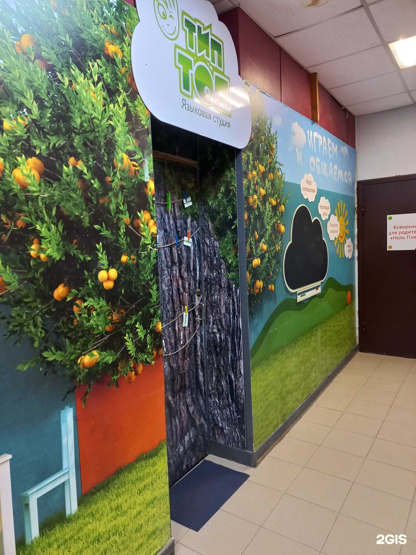 Отзывы на компанию Тип топ в Тольятти c фото