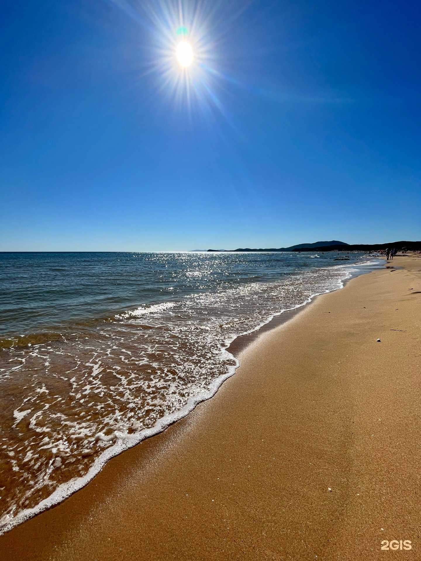 Отзывы на компанию Рапана в г. Находка c фото