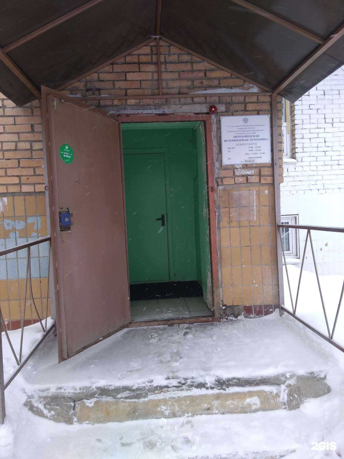 Отзывы на компанию Тольяттинская станция по борьбе с болезнями животных в Тольятти c фото