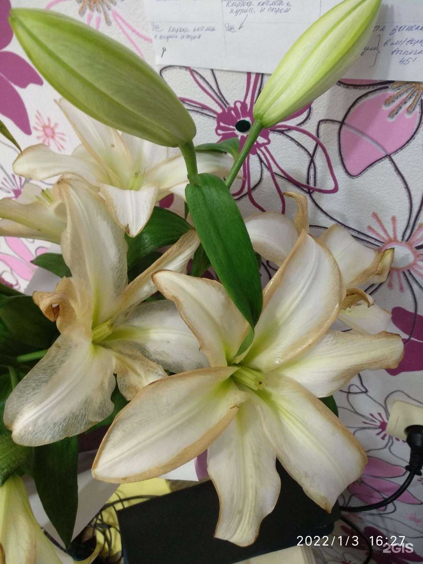 Отзывы на компанию Магазин цветов в Воронеже c фото