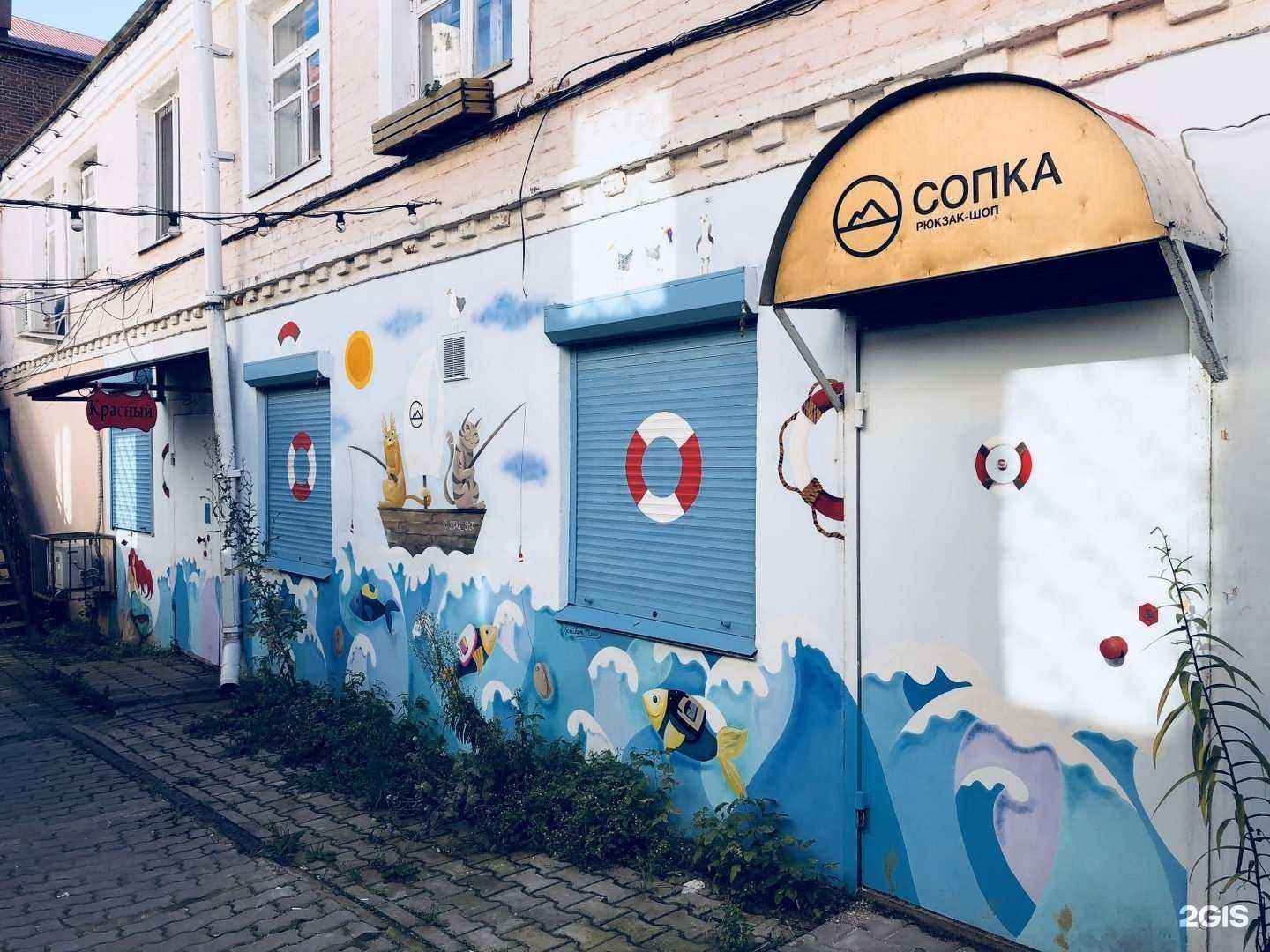 Отзывы на компанию Сопка в Владивостоке c фото