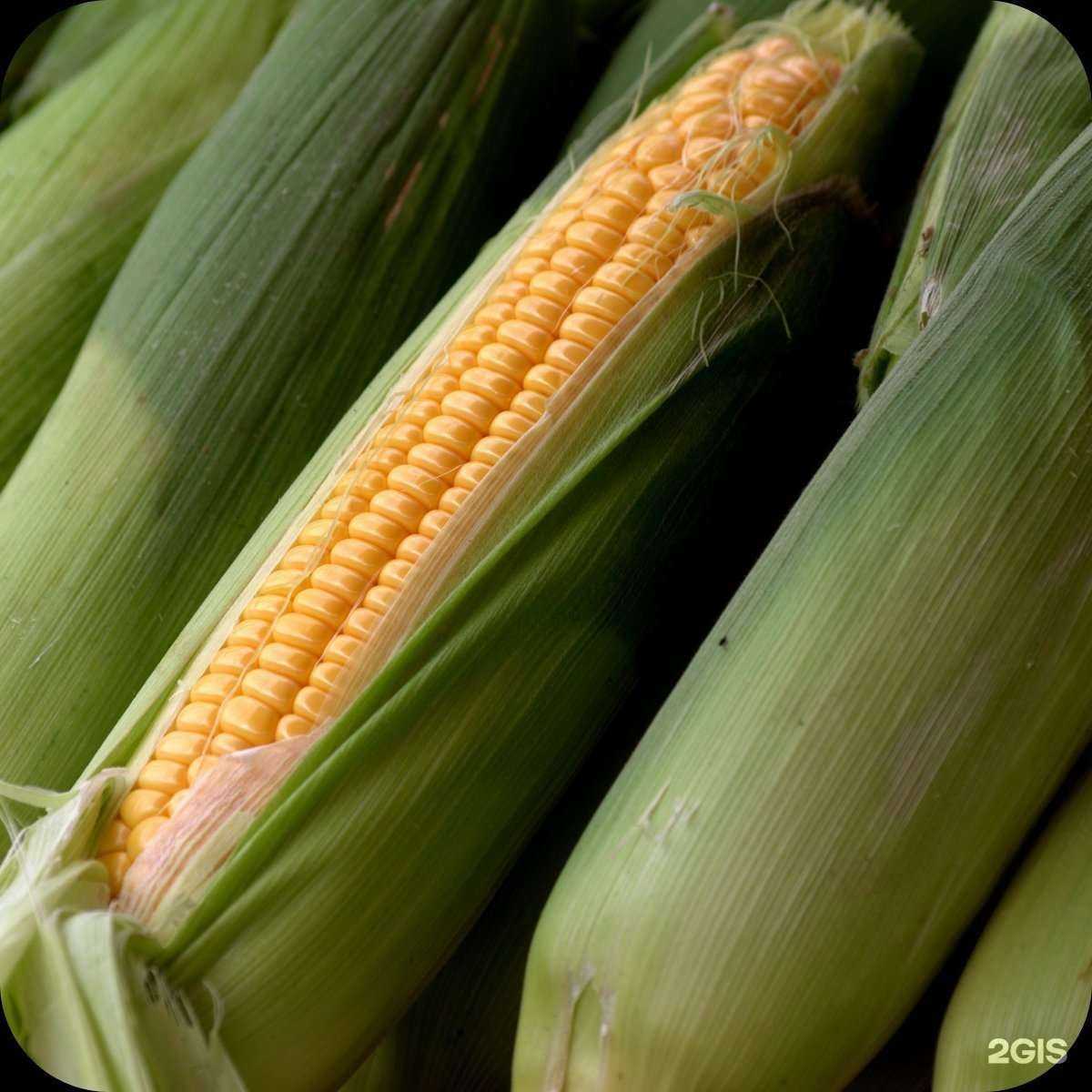 Отзывы на компанию КСМ в Невинномысске c фото