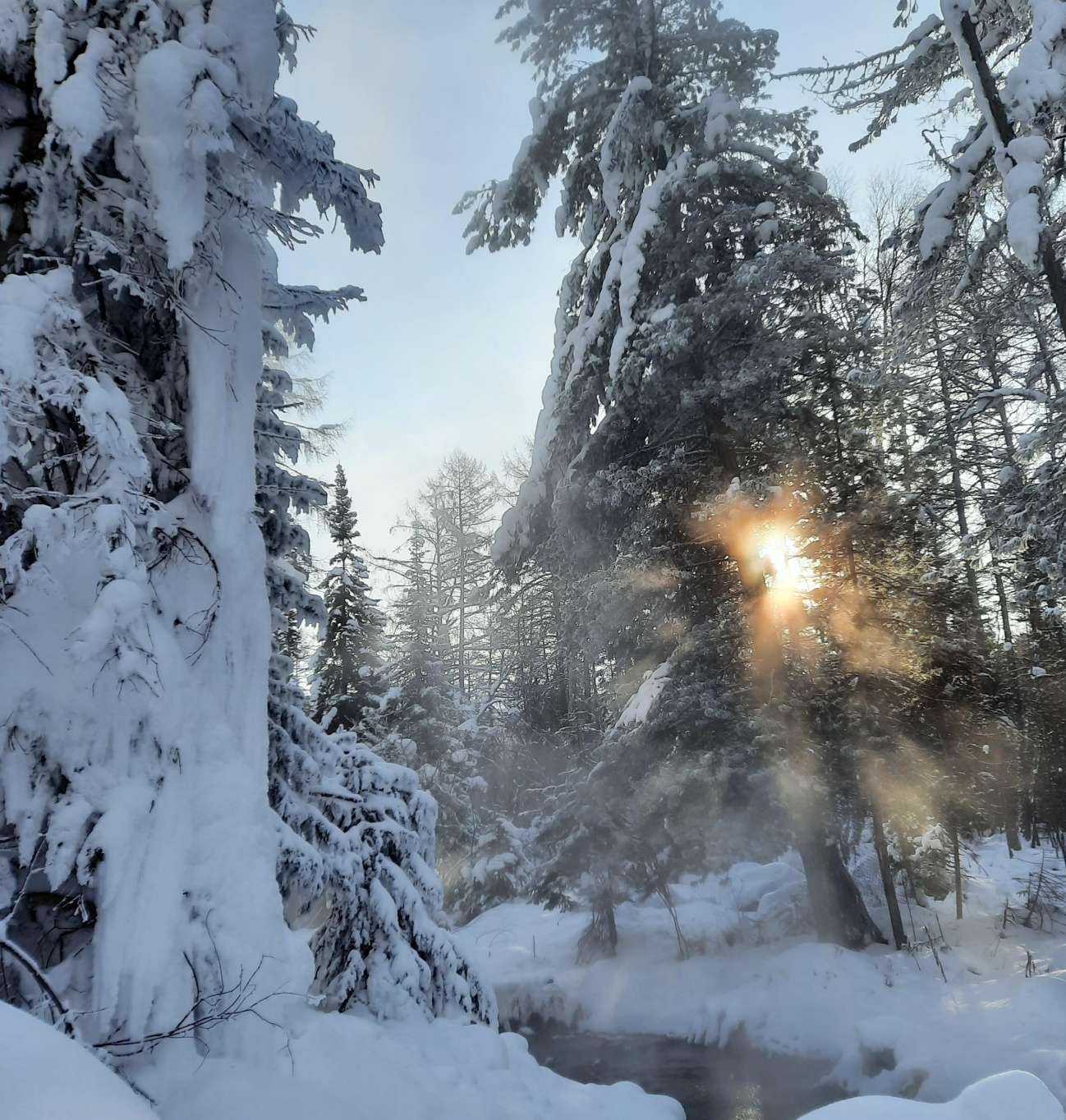 Отзывы на компанию Единый центр туризма в г. Красноярск c фото