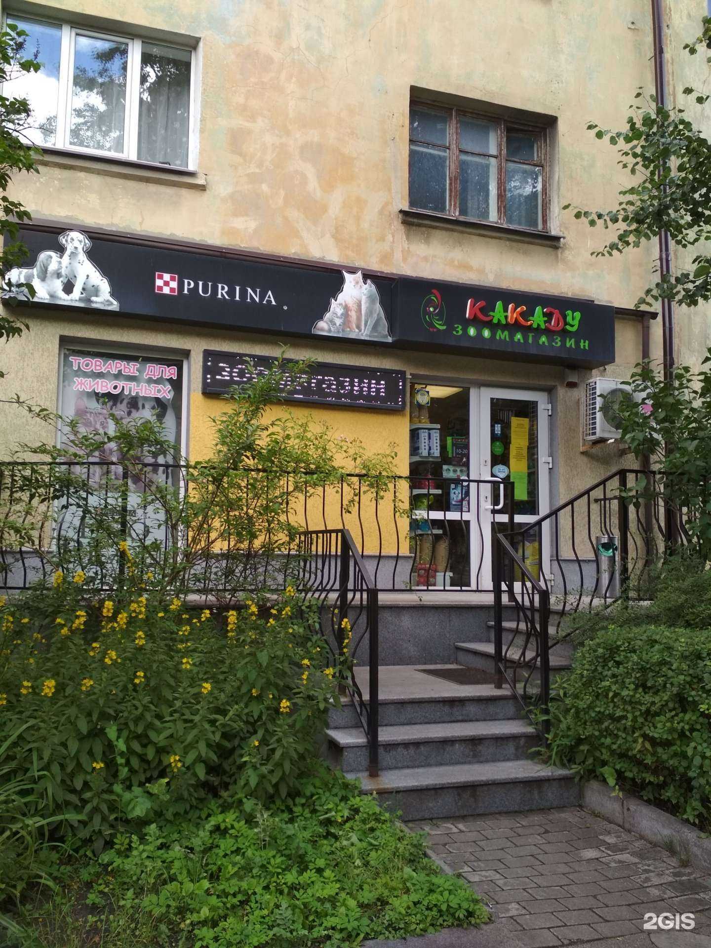 Отзывы на компанию Какаду в Калининграде c фото