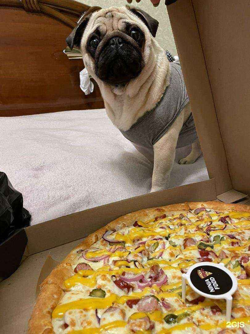 Отзывы на компанию NinjaFood в г. Курск c фото