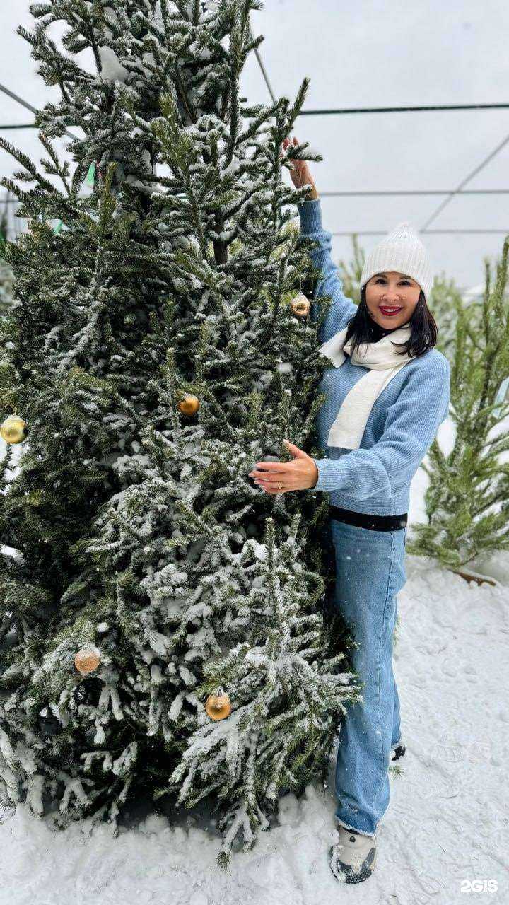 Отзывы на компанию Садовый центр Абдуллиных в г. Уфа c фото