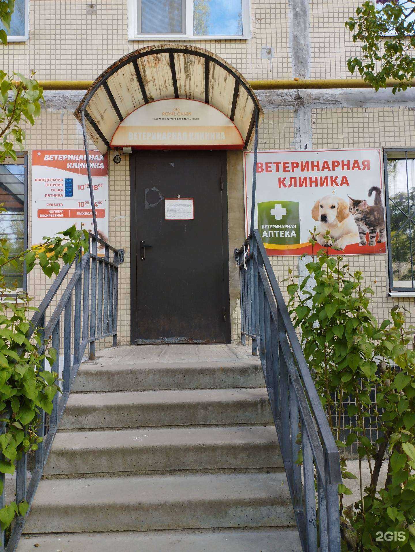 Отзывы на компанию Рыжее солнышко  в Заволжье c фото