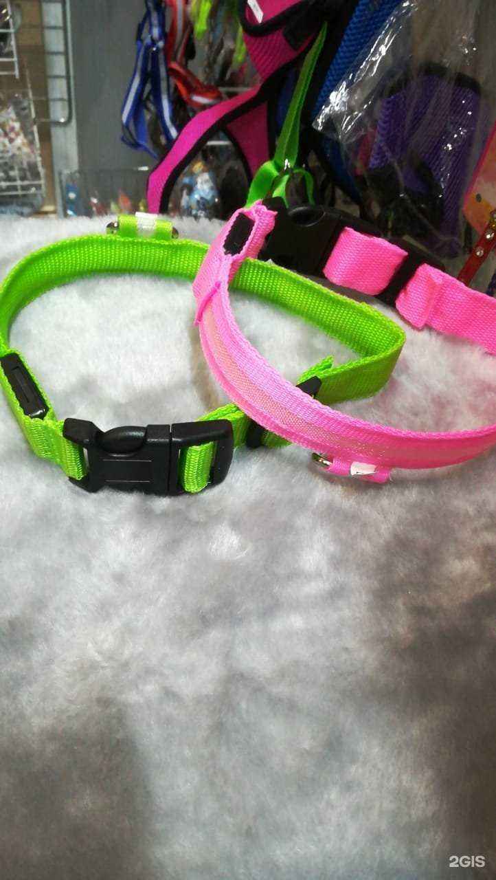 Отзывы на компанию Рыжий кот в г. Хабаровск c фото