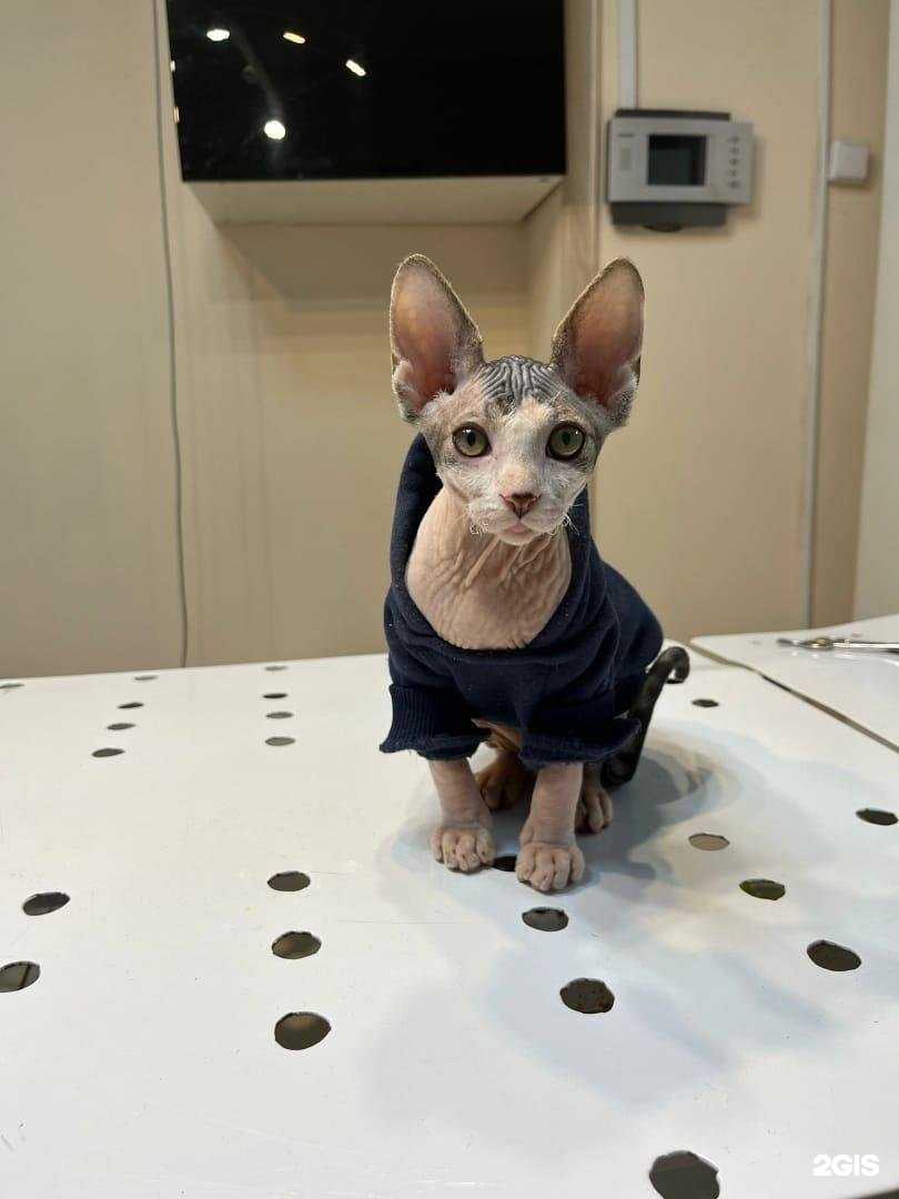 Отзывы на компанию Гармония в г. Калуга c фото