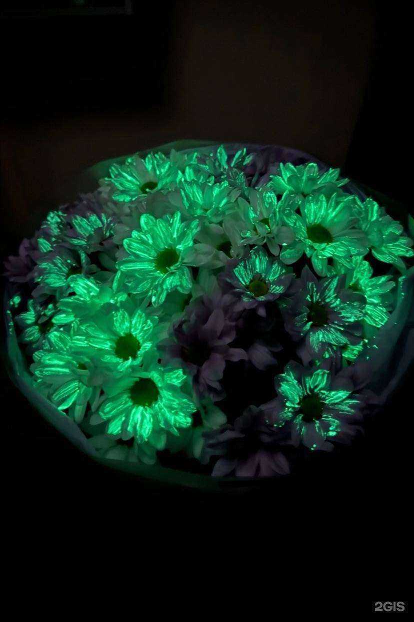 Отзывы на компанию Glow Garden в г. Томск c фото