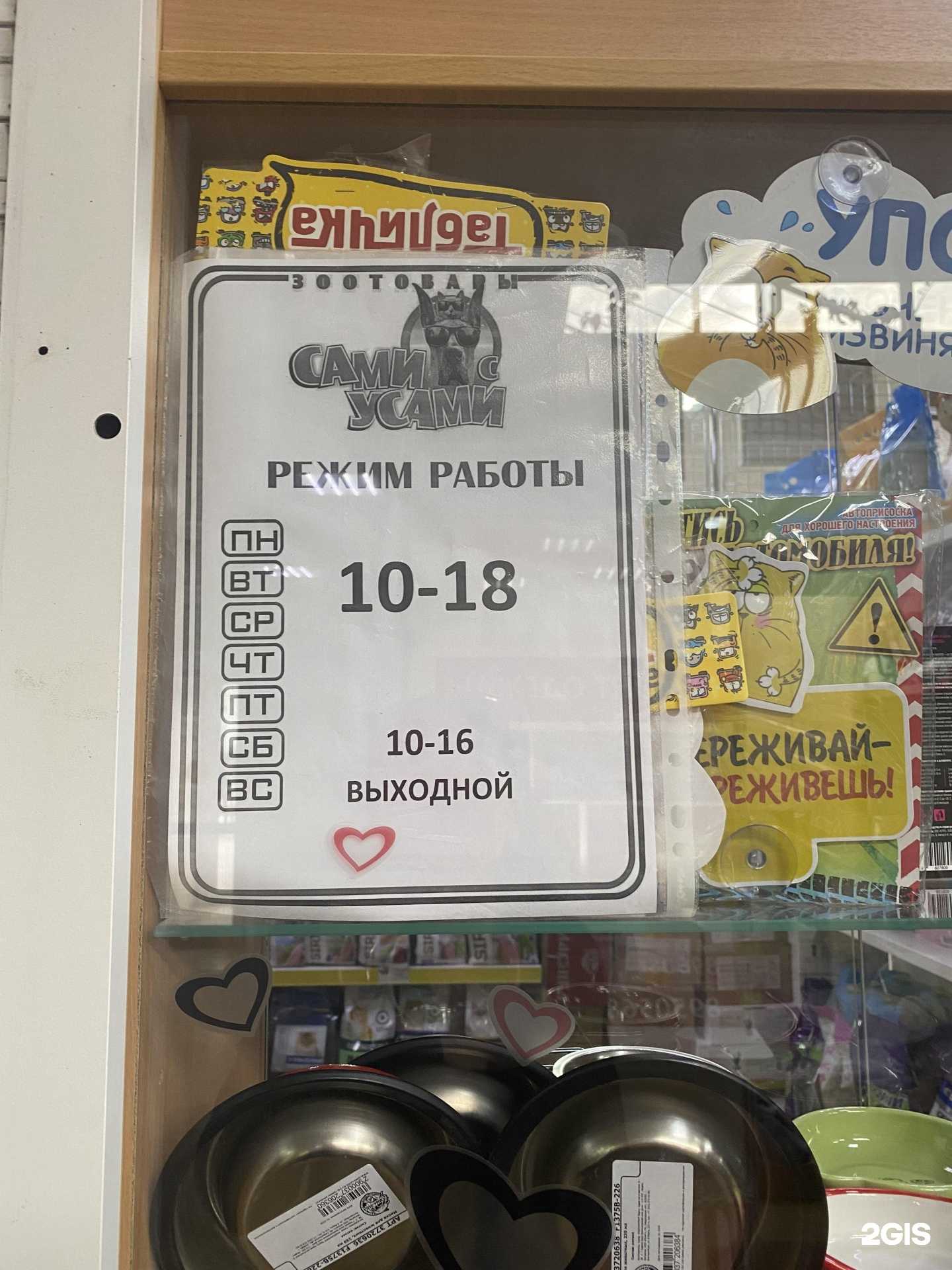 Отзывы на компанию Сами с усами в Сыктывкаре c фото