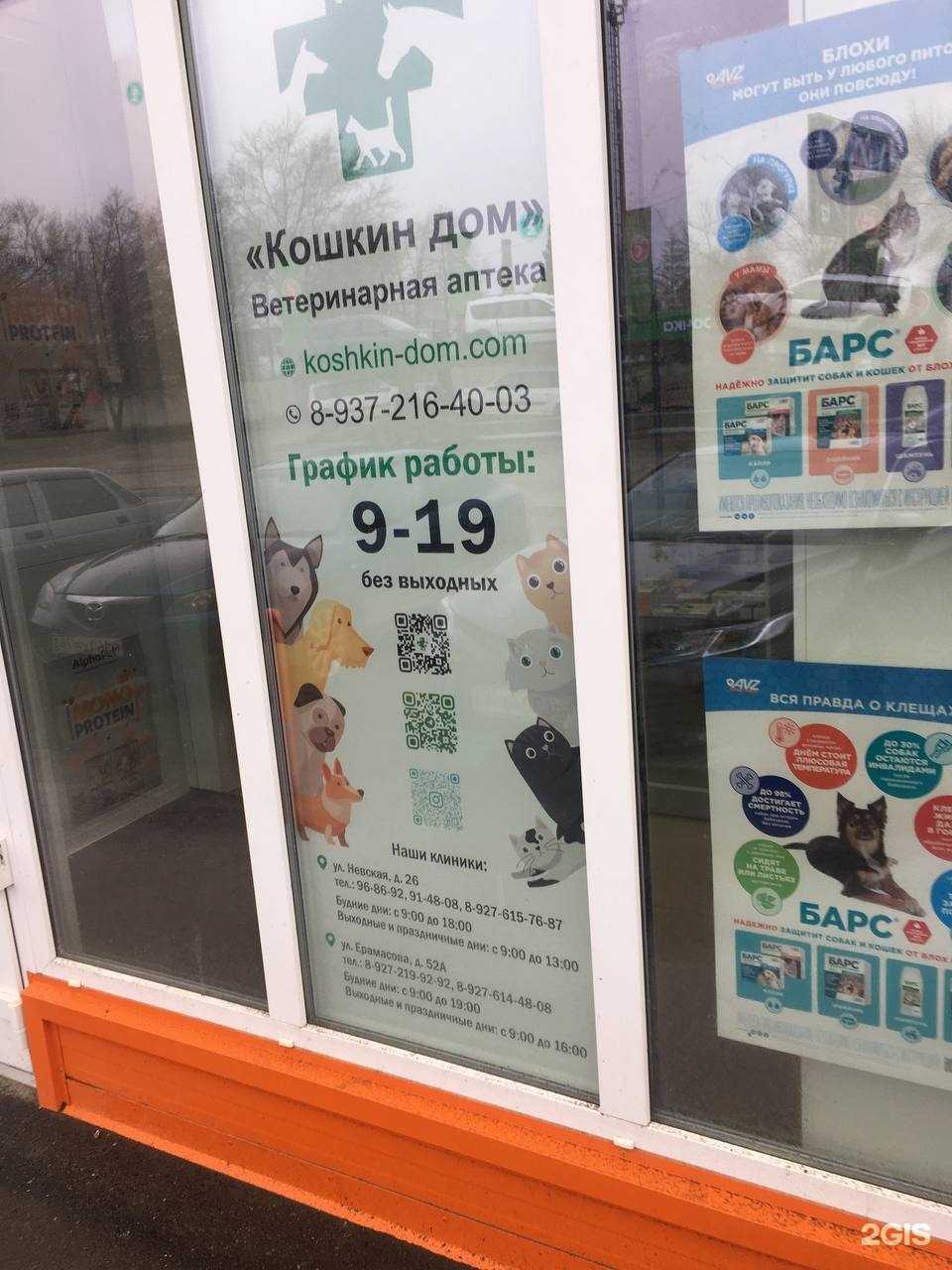 Отзывы на компанию Кошкин дом в г. Сызрань c фото