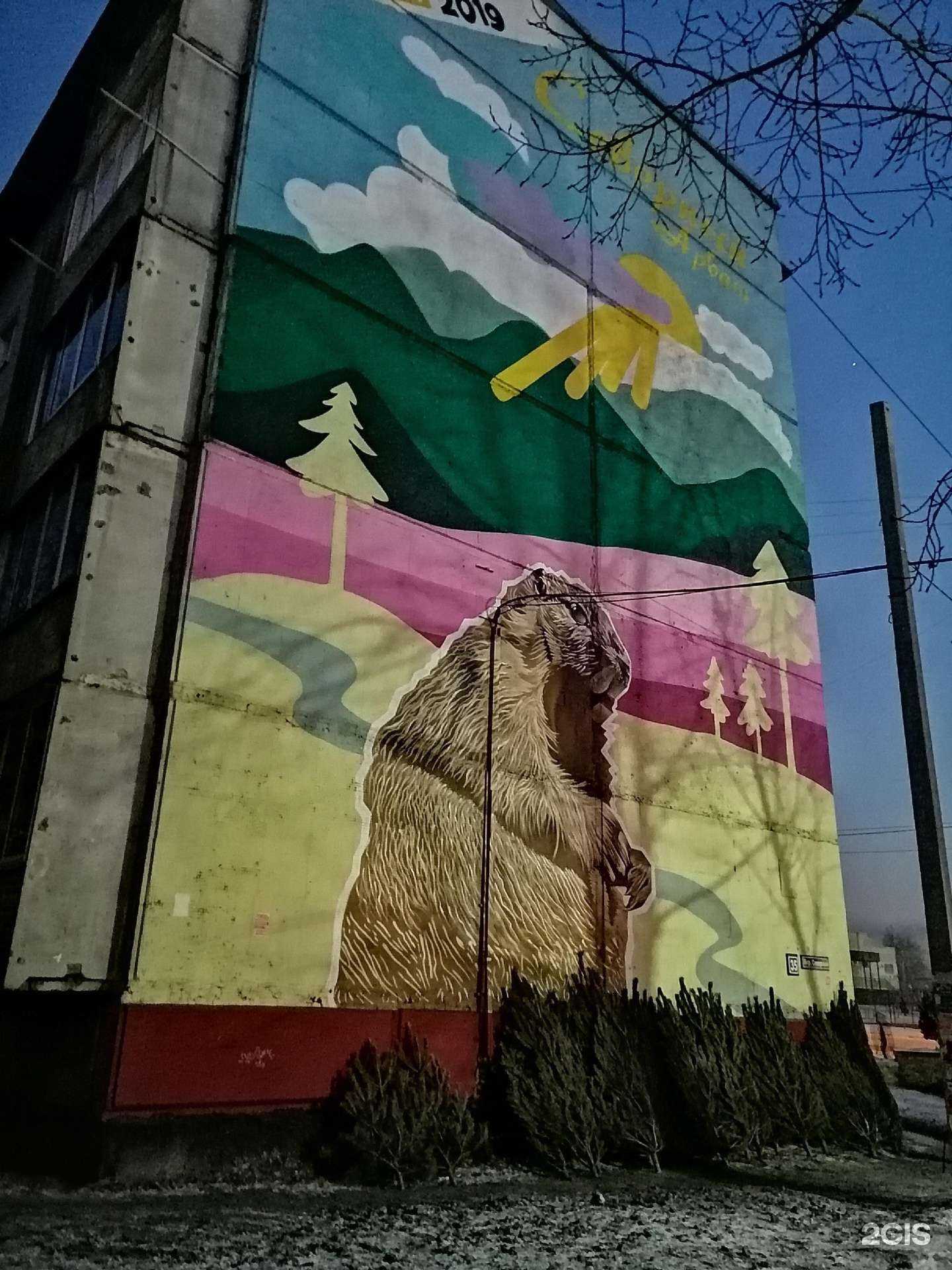 Отзывы на компанию Эстел в Чите c фото - фотография 2 из 2