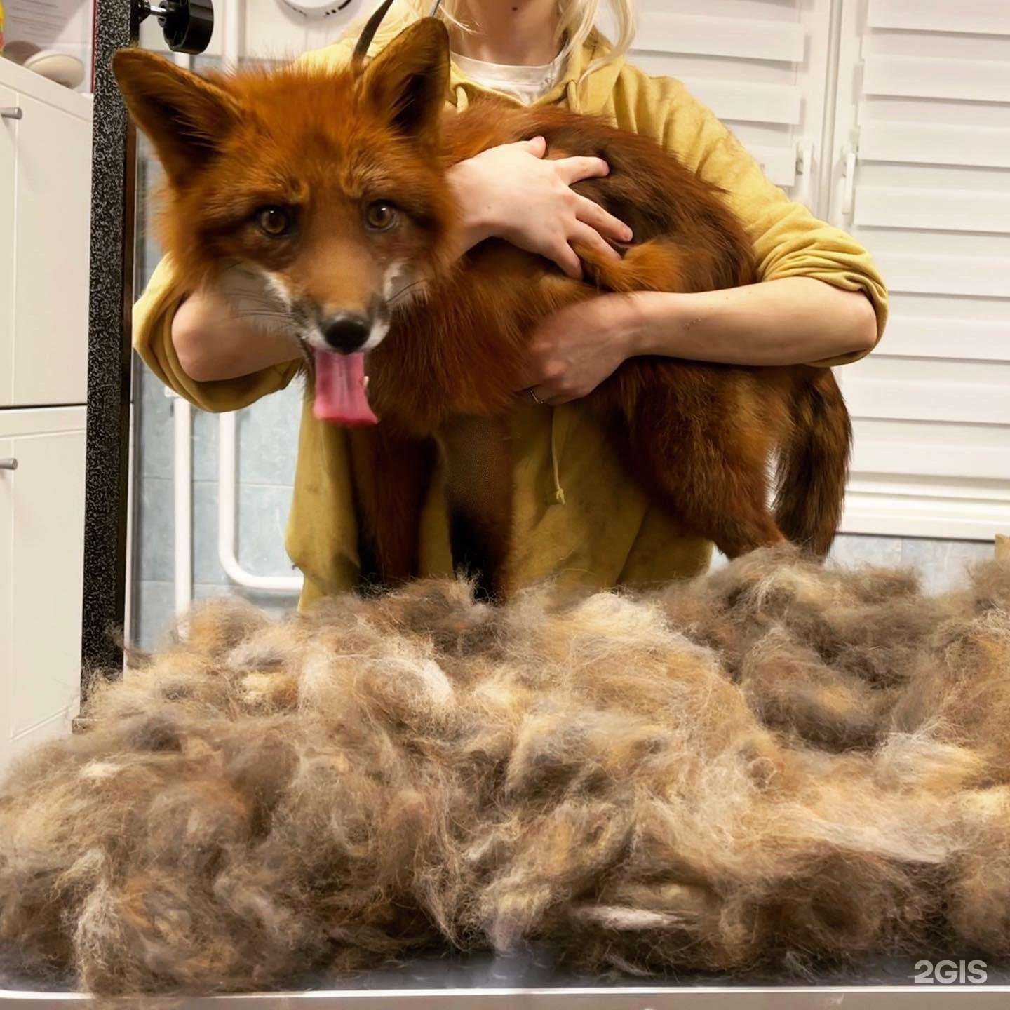 Отзывы на компанию Maggie в Краснодаре c фото