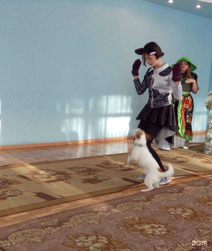 Отзывы на компанию Детский сад №243 в Ростове-на-Дону c фото