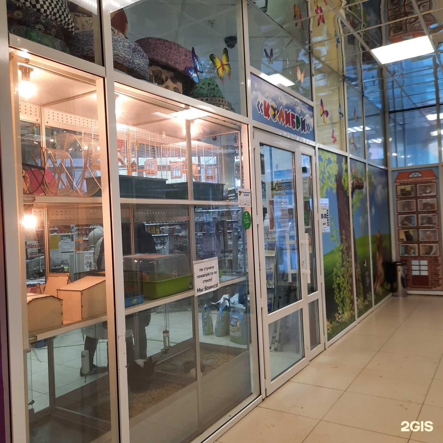 Отзывы на компанию Дивный Колибри в Сыктывкаре c фото