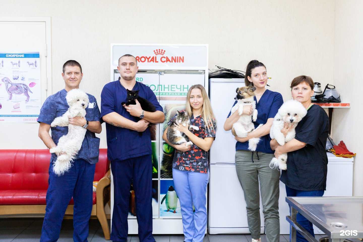 Отзывы на компанию Солнечная в г. Краснодар c фото