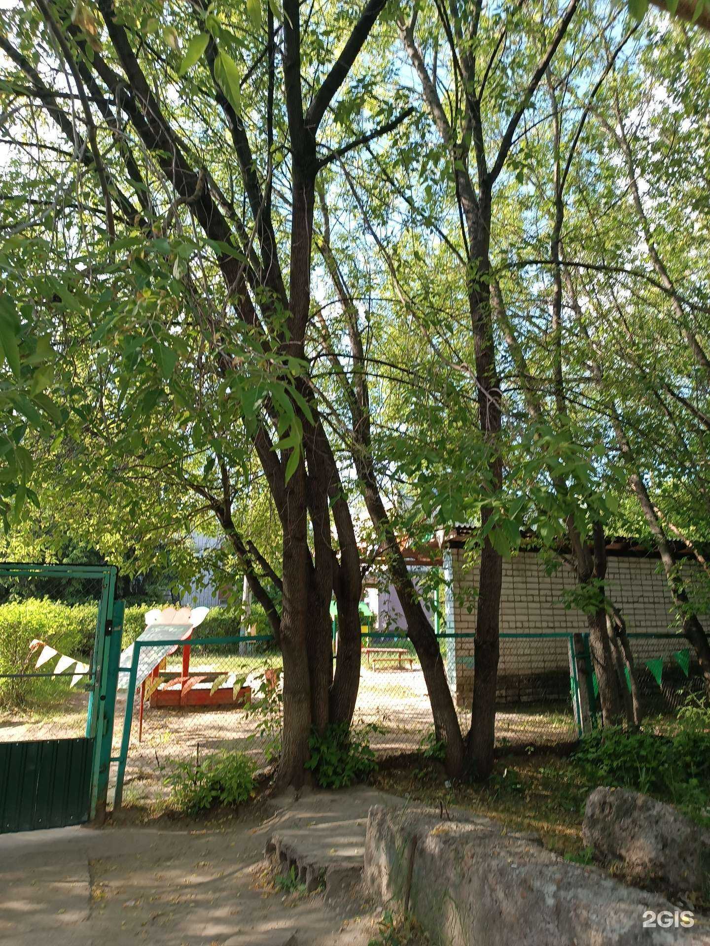 Отзывы на компанию Детский сад №92 в Нижнем Новгороде c фото