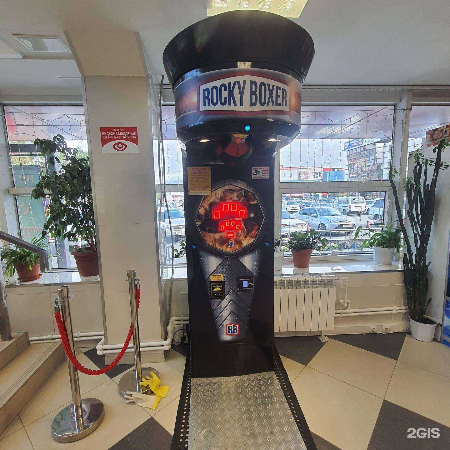 Отзывы на компанию Rocky Boxer в Елизове c фото