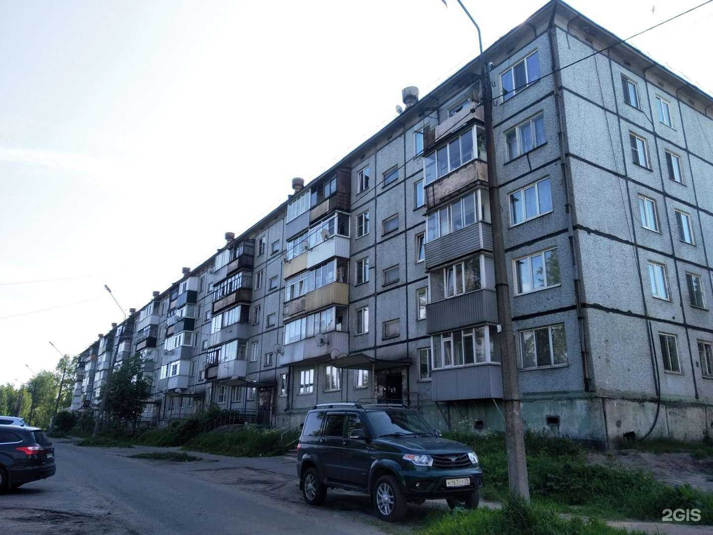 Отзывы на компанию Питомец в Архангельске c фото - фотография 2 из 2