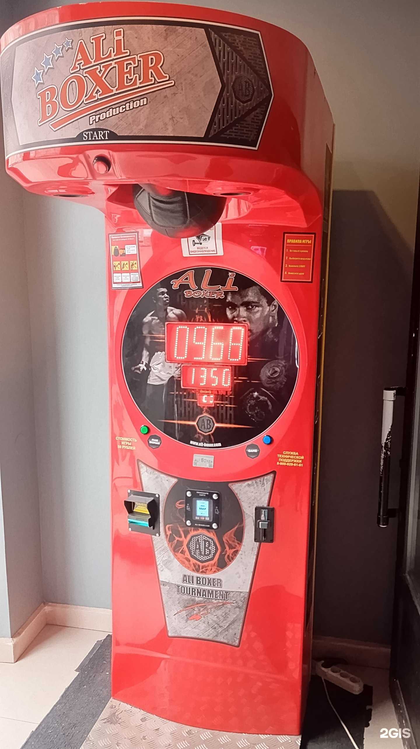 Отзывы на компанию Ali boxer в Воронеже c фото