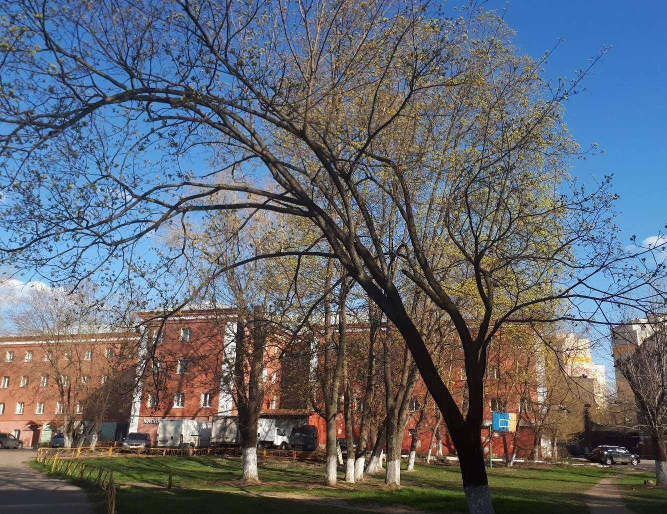 Отзывы на компанию Склад цветов в Реутове c фото