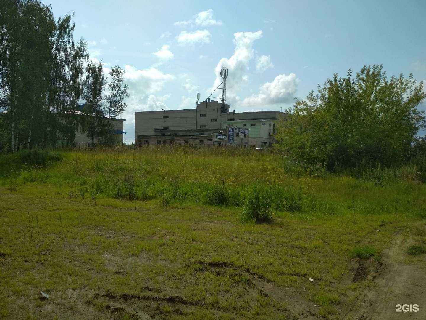 Отзывы на компанию Кедр в Ярославле c фото