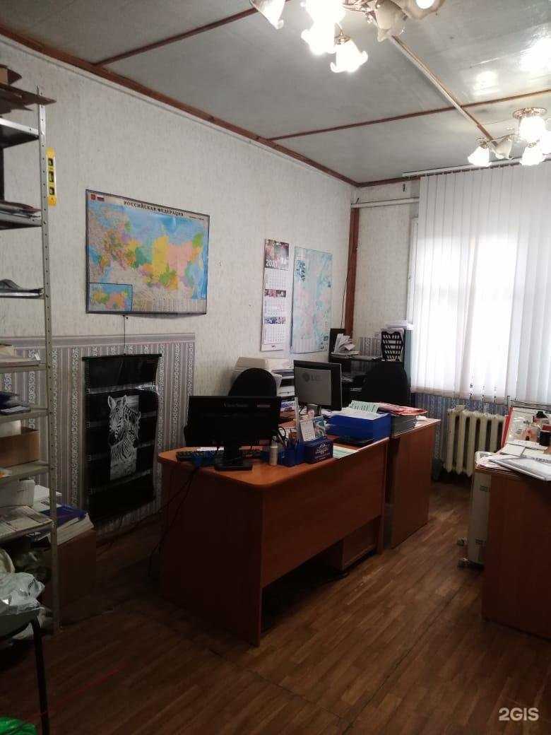 Отзывы на компанию DIMEX в Великом Новгороде c фото