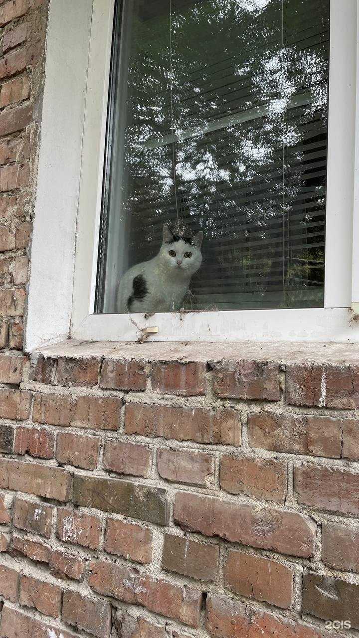 Отзывы на компанию Rich berry в Красноярске c фото - фотография 2 из 2