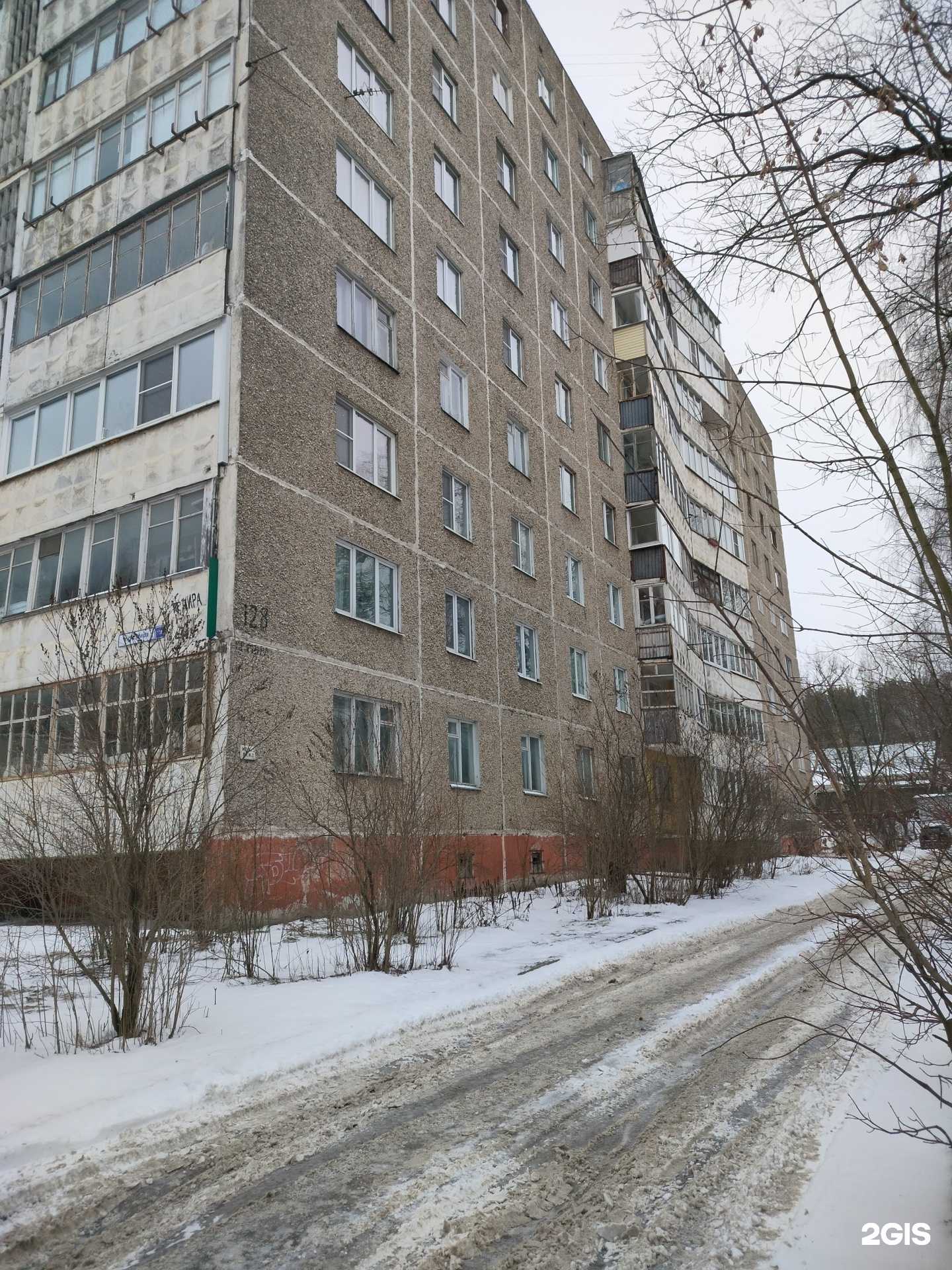 Отзывы на компанию СитиФлора Сток в Костроме c фото - фотография 2 из 2