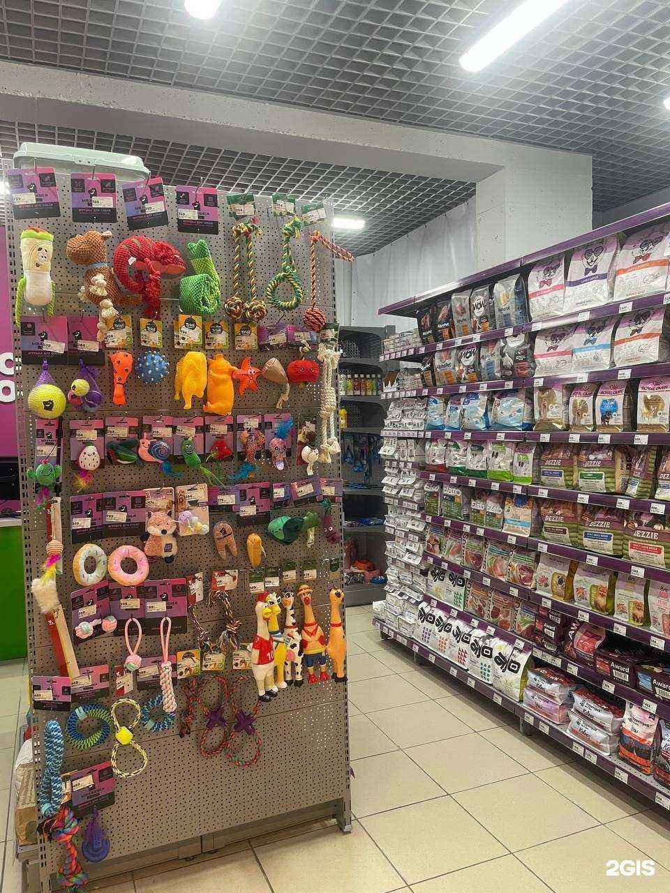 Отзывы на компанию Мокрый нос в г. Калининград c фото