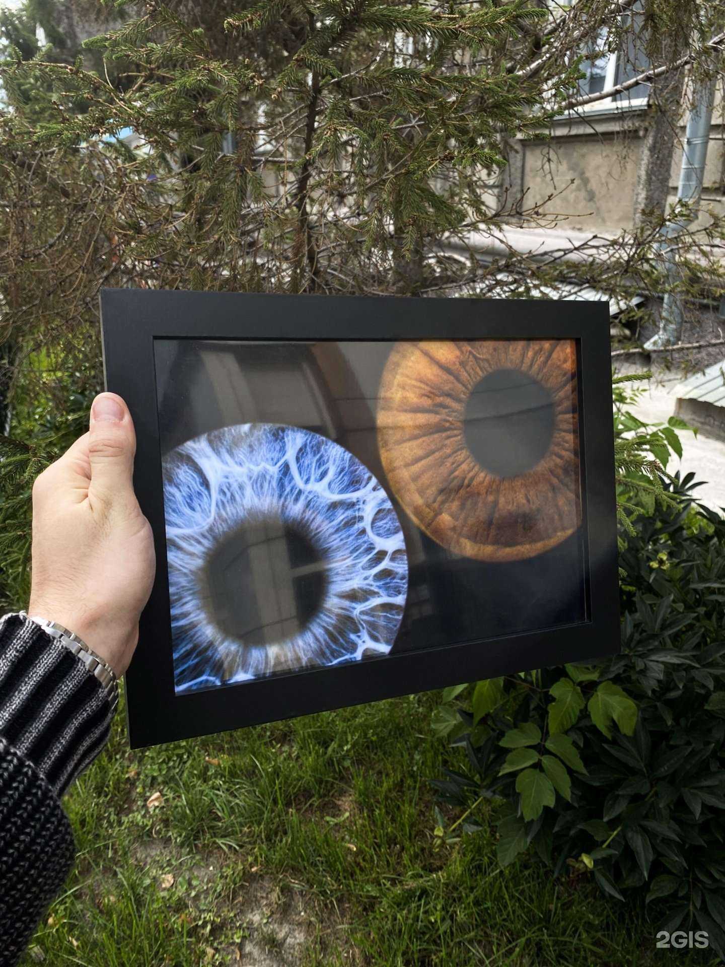 Отзывы на компанию Eyes в г. Новосибирск c фото