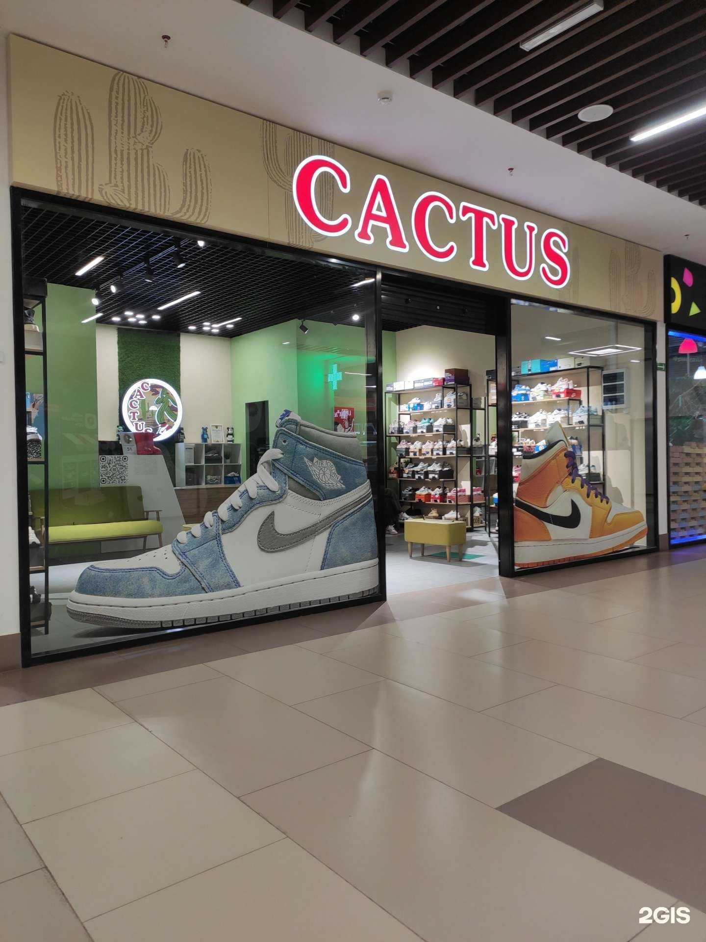 Отзывы на компанию Cactus в Коврове c фото