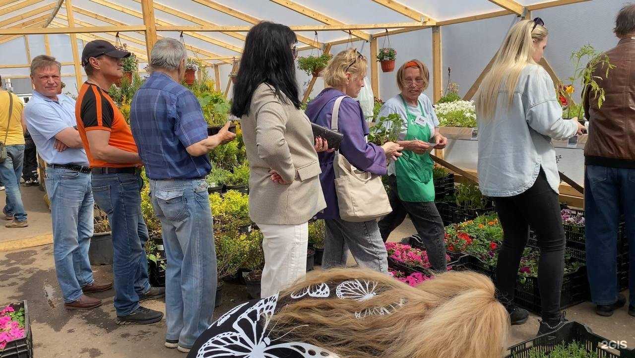 Отзывы на компанию Ваганов в Иванове c фото