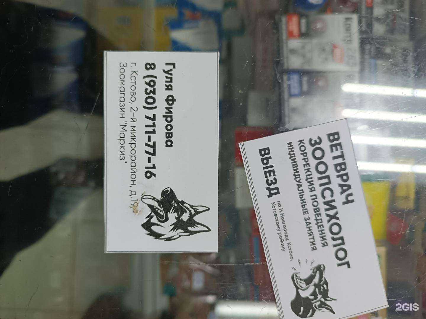 Отзывы на компанию Ветеринарный кабинет в Кстове c фото