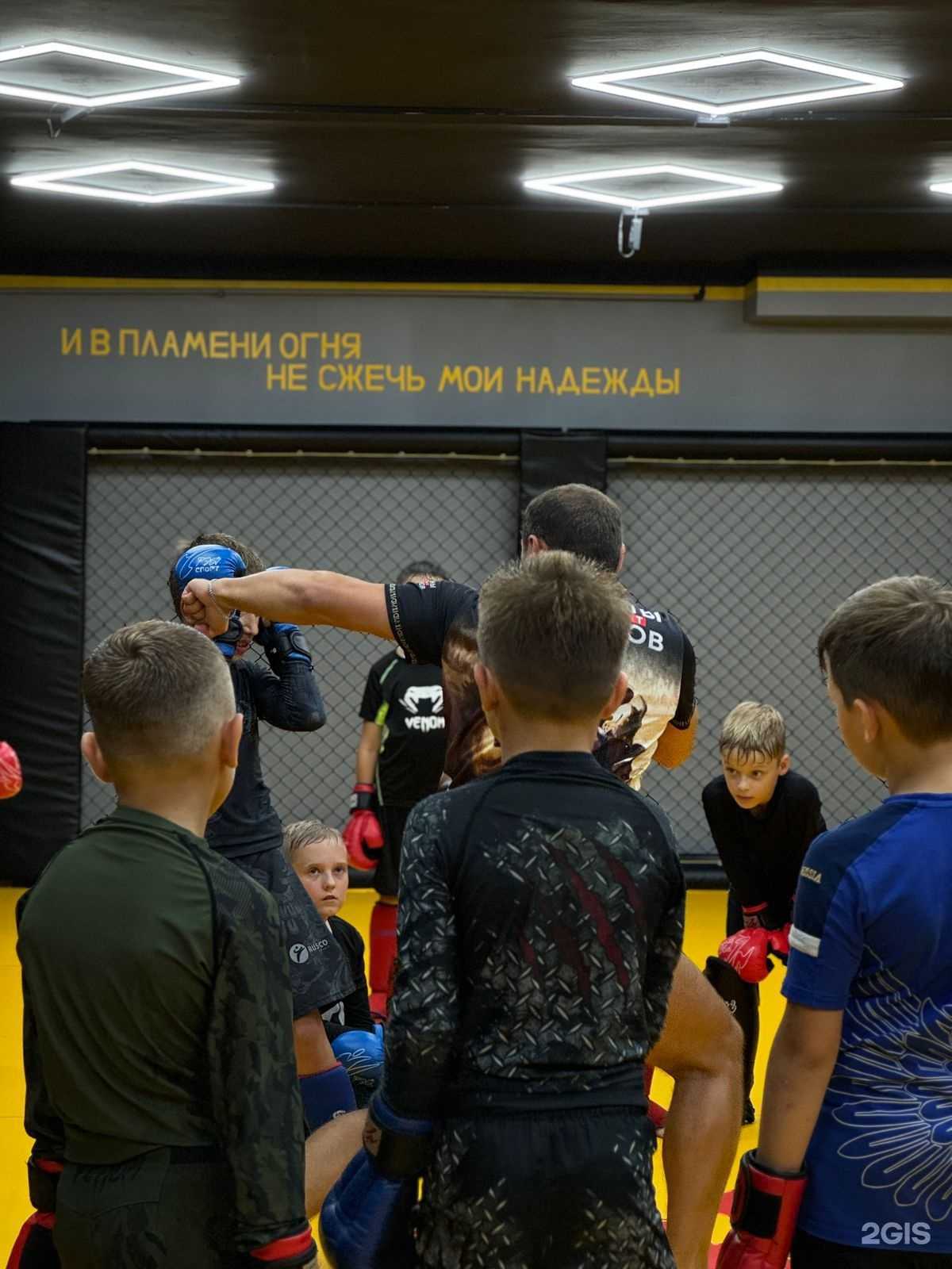 Отзывы на компанию Феникс в Новосибирске c фото