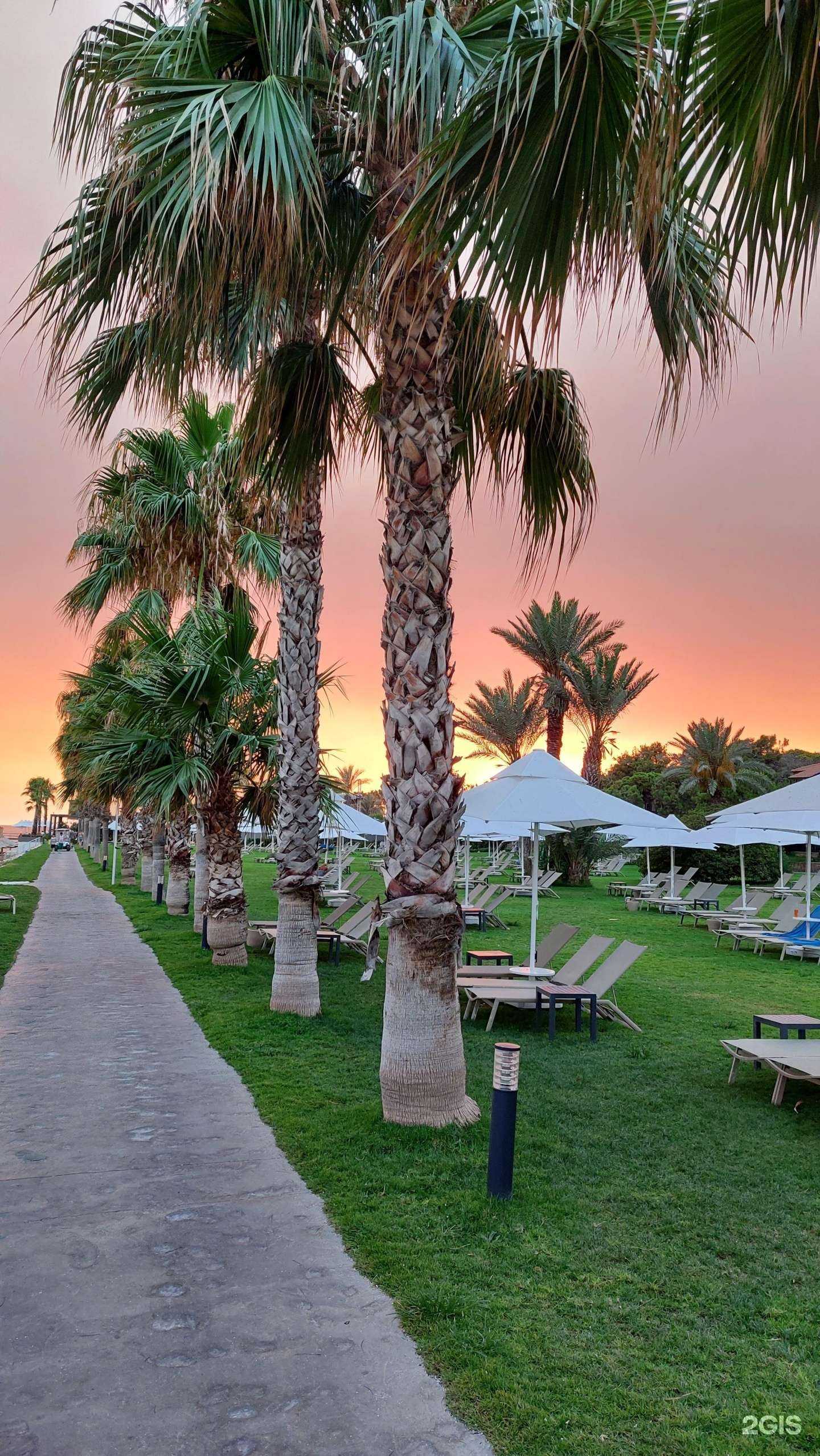 Отзывы на компанию Tws Tour в г. Ставрополь c фото