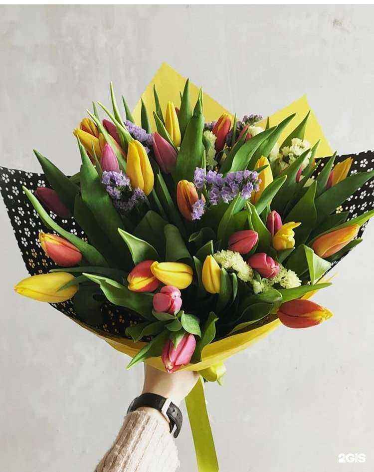 Отзывы на компанию Прованс в г. Тюмень c фото