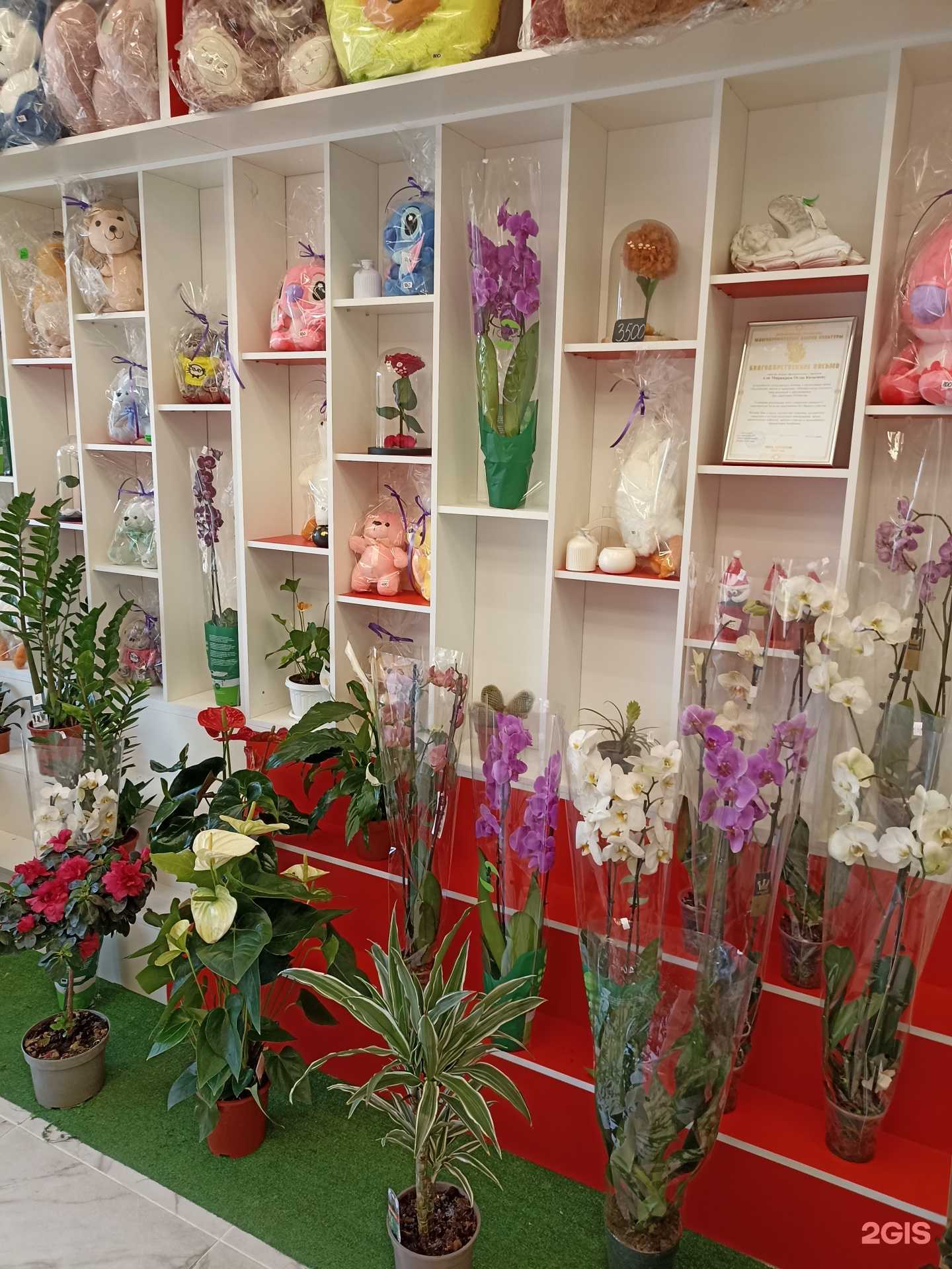 Отзывы на компанию Цветочный склад в г. Лермонтов c фото