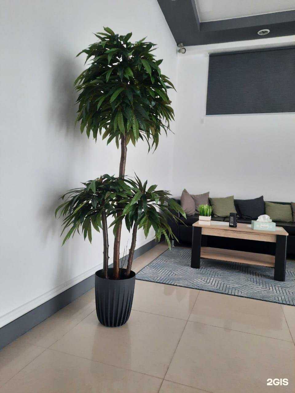 Отзывы на компанию АибисмаХ в г. Махачкала c фото