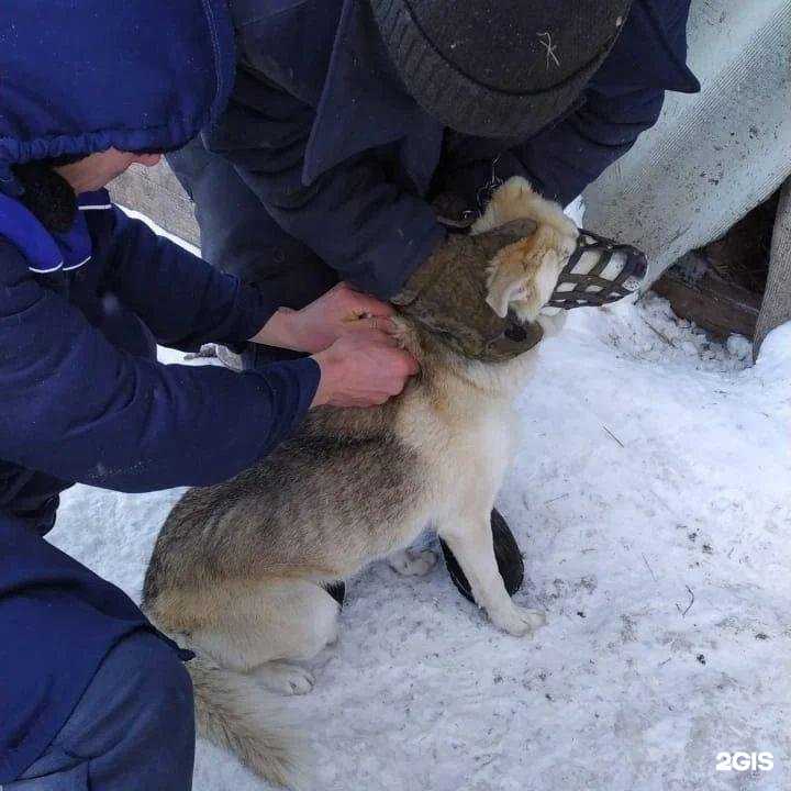 Отзывы на компанию Госветклиника в г. Туймазы c фото