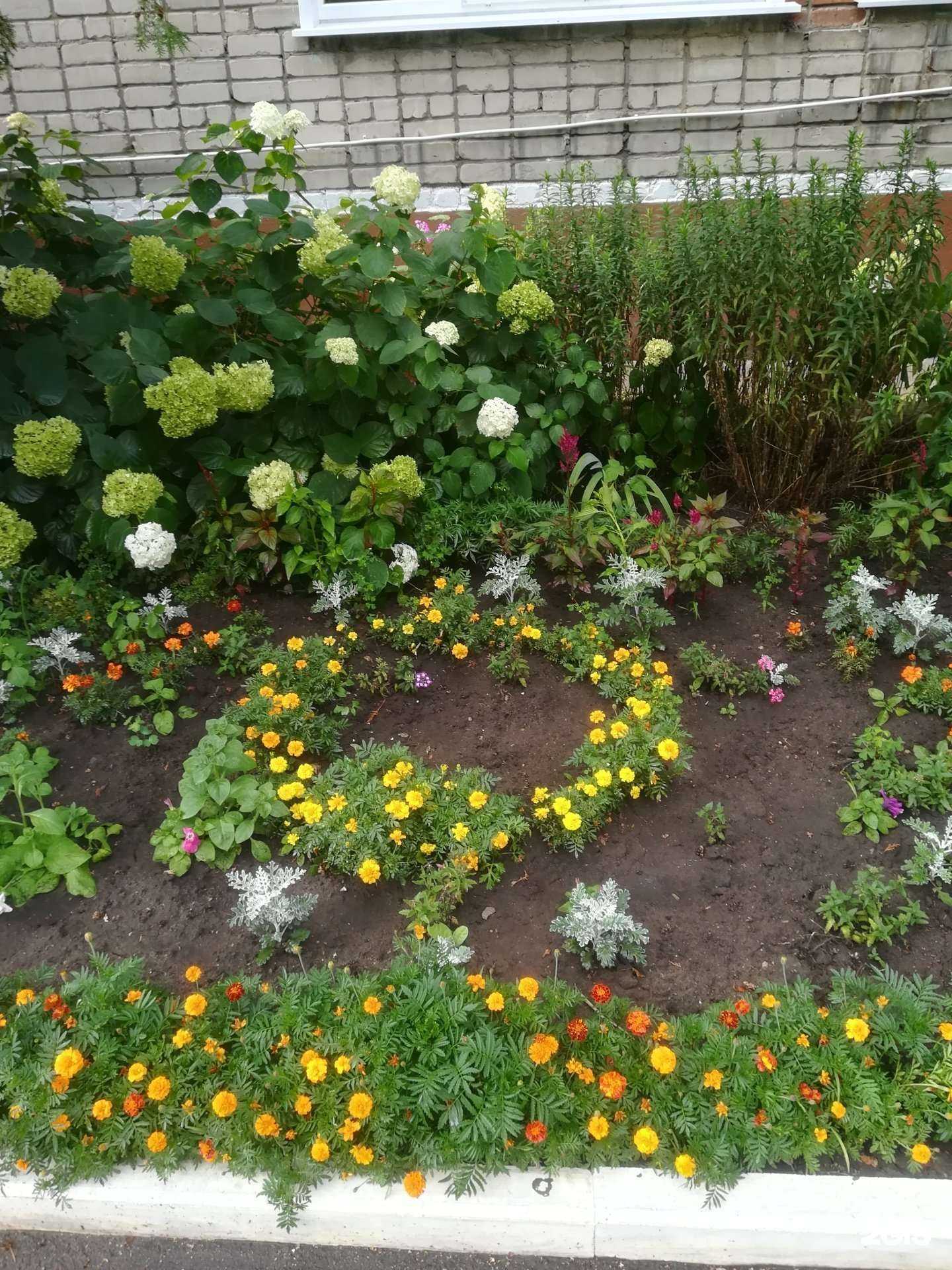 Отзывы на компанию Детский сад №5 в г. Елец c фото