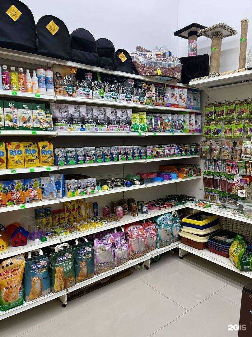 Отзывы на компанию ЛапУсики в г. Липецк c фото