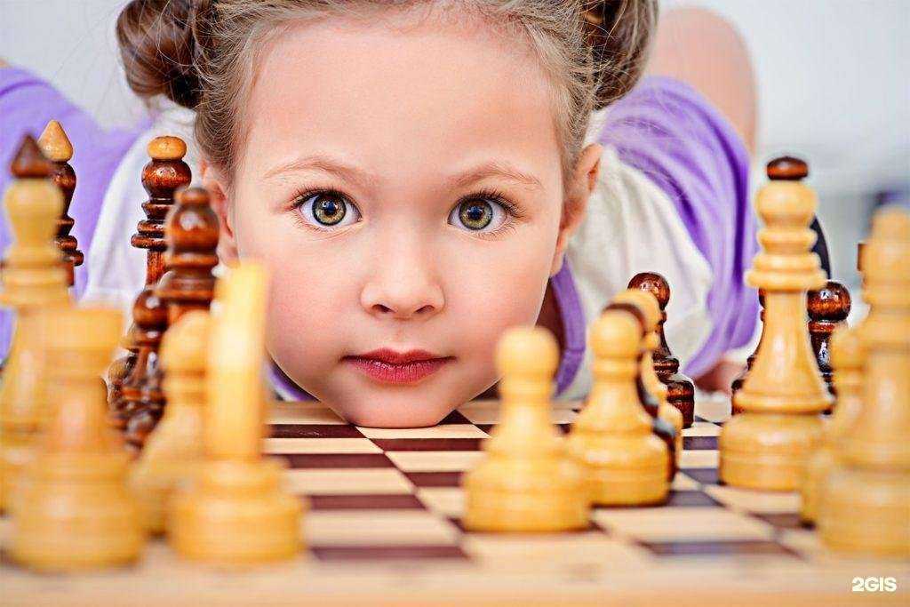 Отзывы на компанию Лотос в г. Балашиха c фото